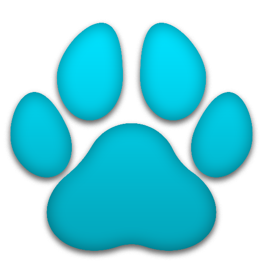 Light blue paw
